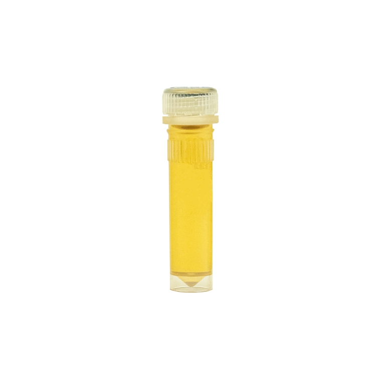 Honigtau-Mix in 2ml Futterröhrchen - 10 St.